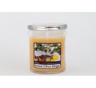 Bonsai Citrus Ginger Jar - Medium (15oz)