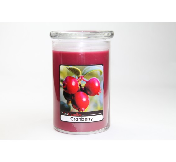 Cranberry Jar - Large (24oz)