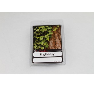 English Ivy Melters