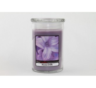 Hyacinth Jar - Large (24oz)